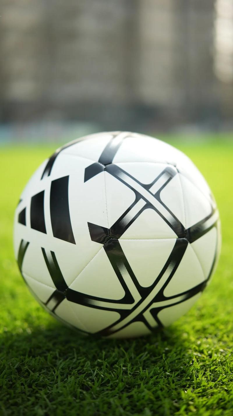 体育爱好者使用即时比分捷报网观看赛事